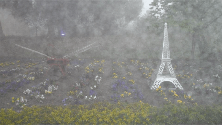 Miniatures at the Small Swiss Garden