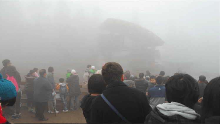 View of Sheep's Show from the audience seats.
