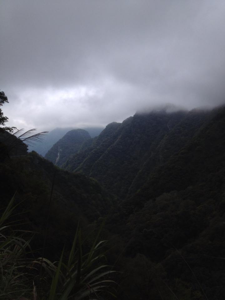 482708_10151381315488842_994801572_n