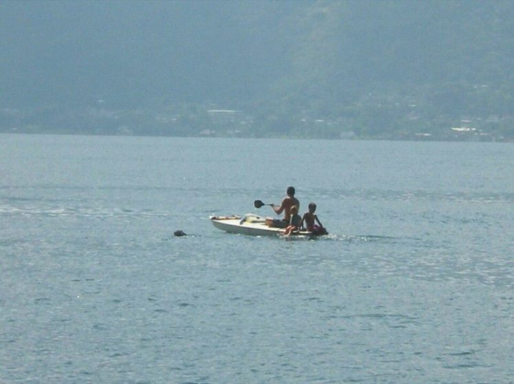 1935381_10153483495088842_8322824610815695563_n