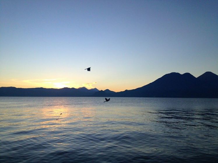 734804_210441079292045_3115386208958279907_n