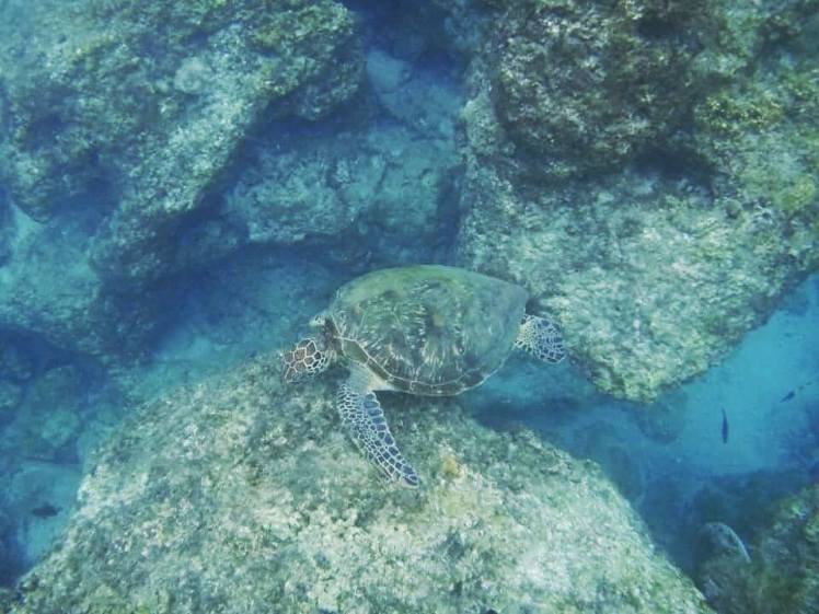 12733589_10153578374993842_4931746056436599153_n