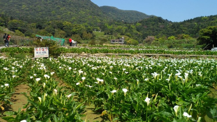 549453_10151381461918842_31785011_n