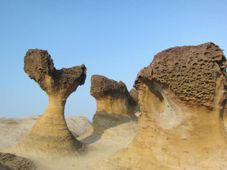 72941_10200967777539453_638764987_n