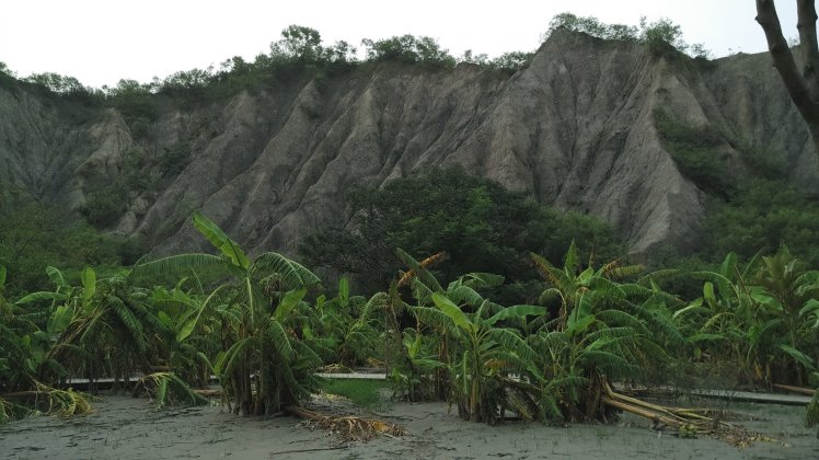 rsz_img_20150820_163756_ao_hdr