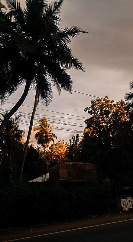 19665358_10155003850323842_8609941134628935537_n