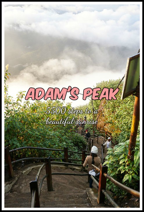adam's peak