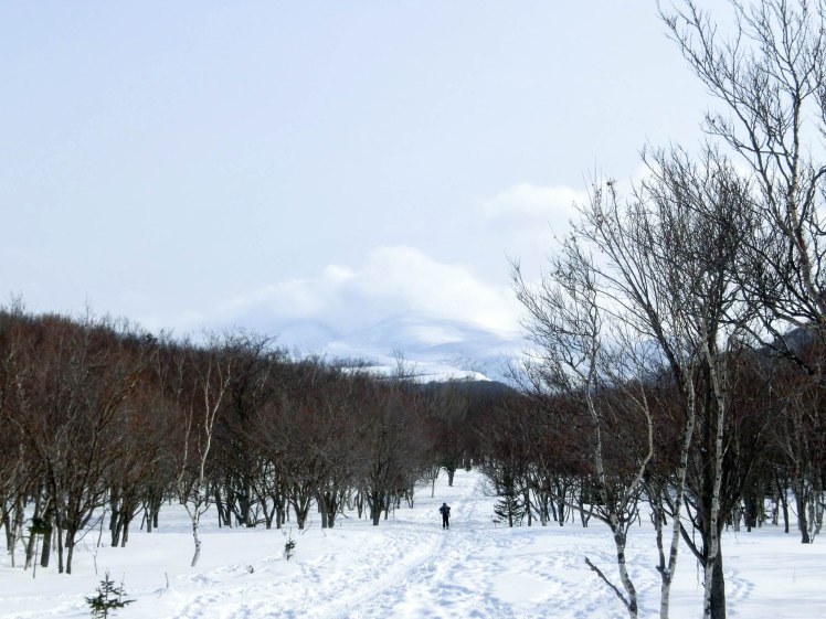 shiretoko national park